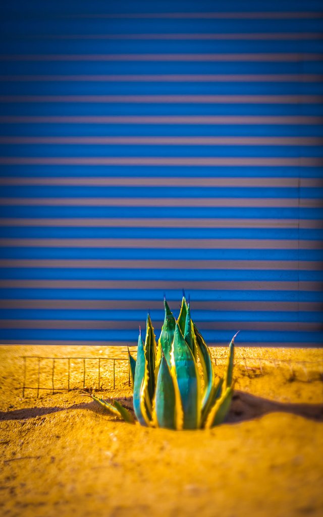 malabella-jewels-pics-5_1024x1024