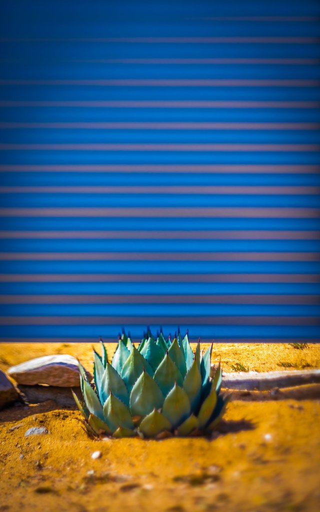 malabella-jewels-pics-6_1024x1024