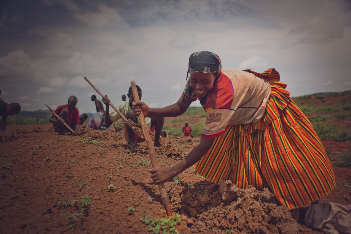 woman-planting-seedlings-with-group-of-farmers-trees-for-the-future-HERO
