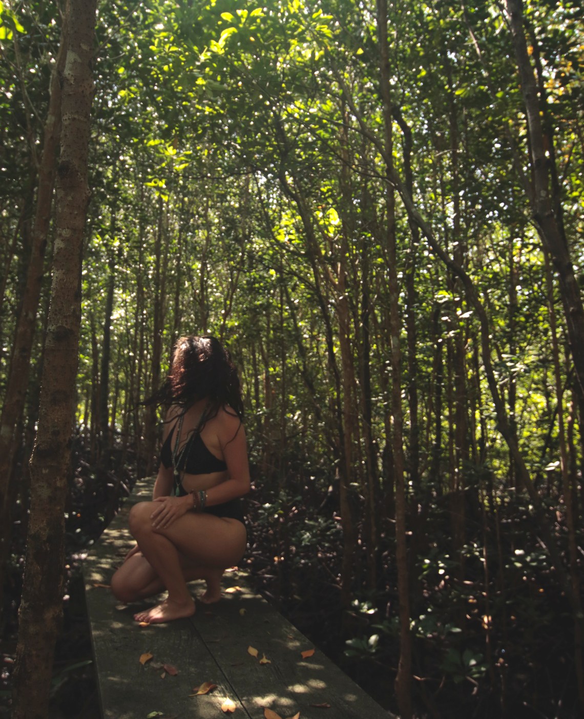 _45C0116 11.01.13 PM