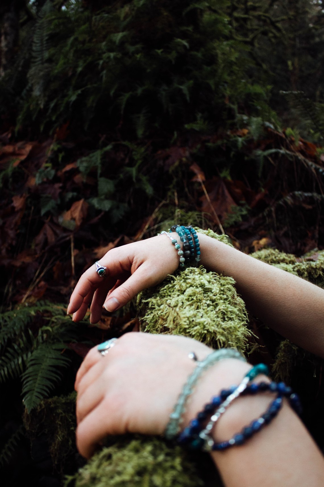 IMG_2273winterdreams