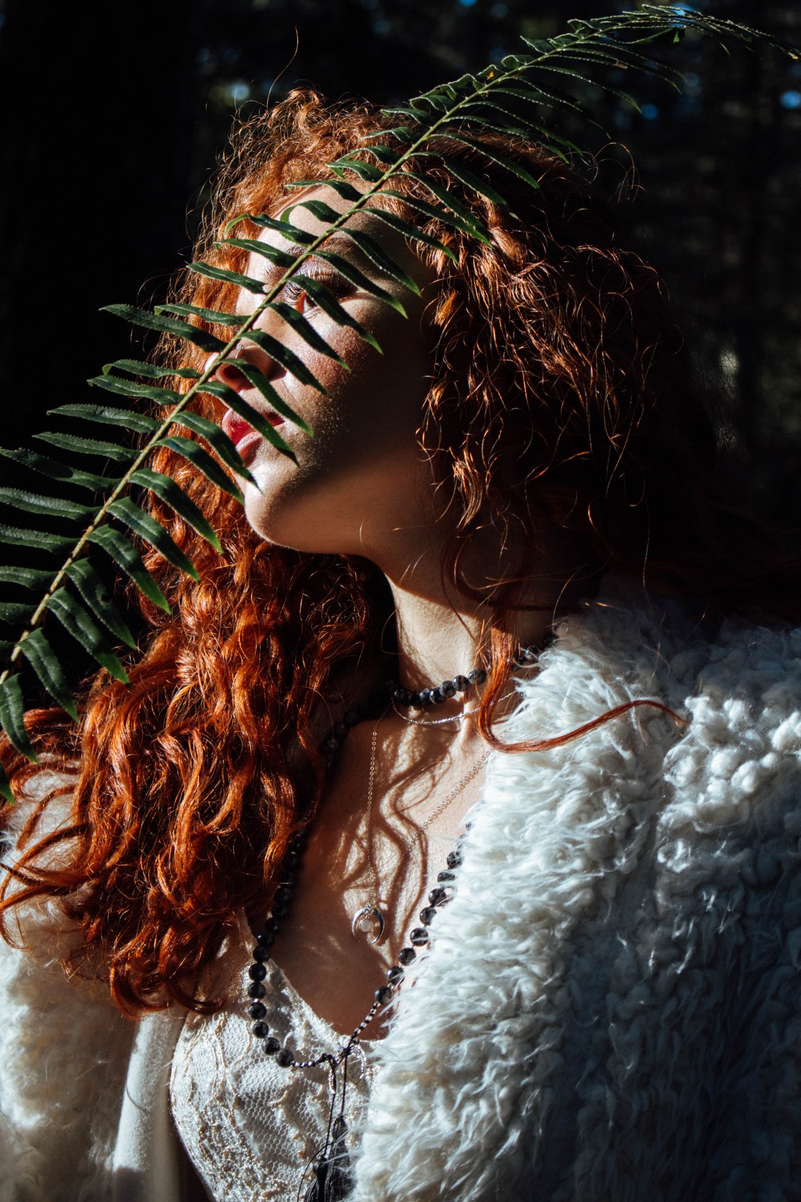 IMG_2355winterdreams